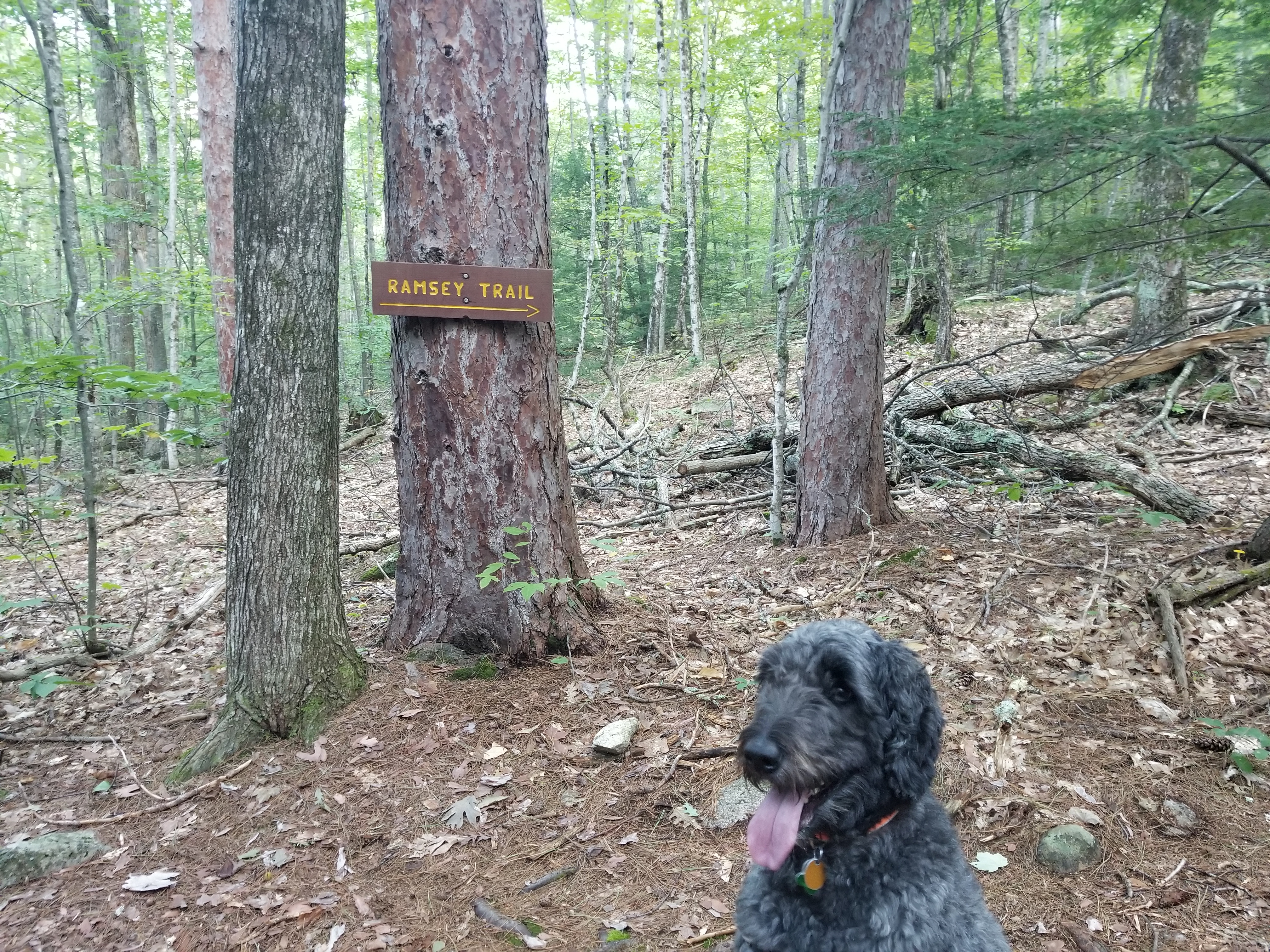 Ramsey Trailhead