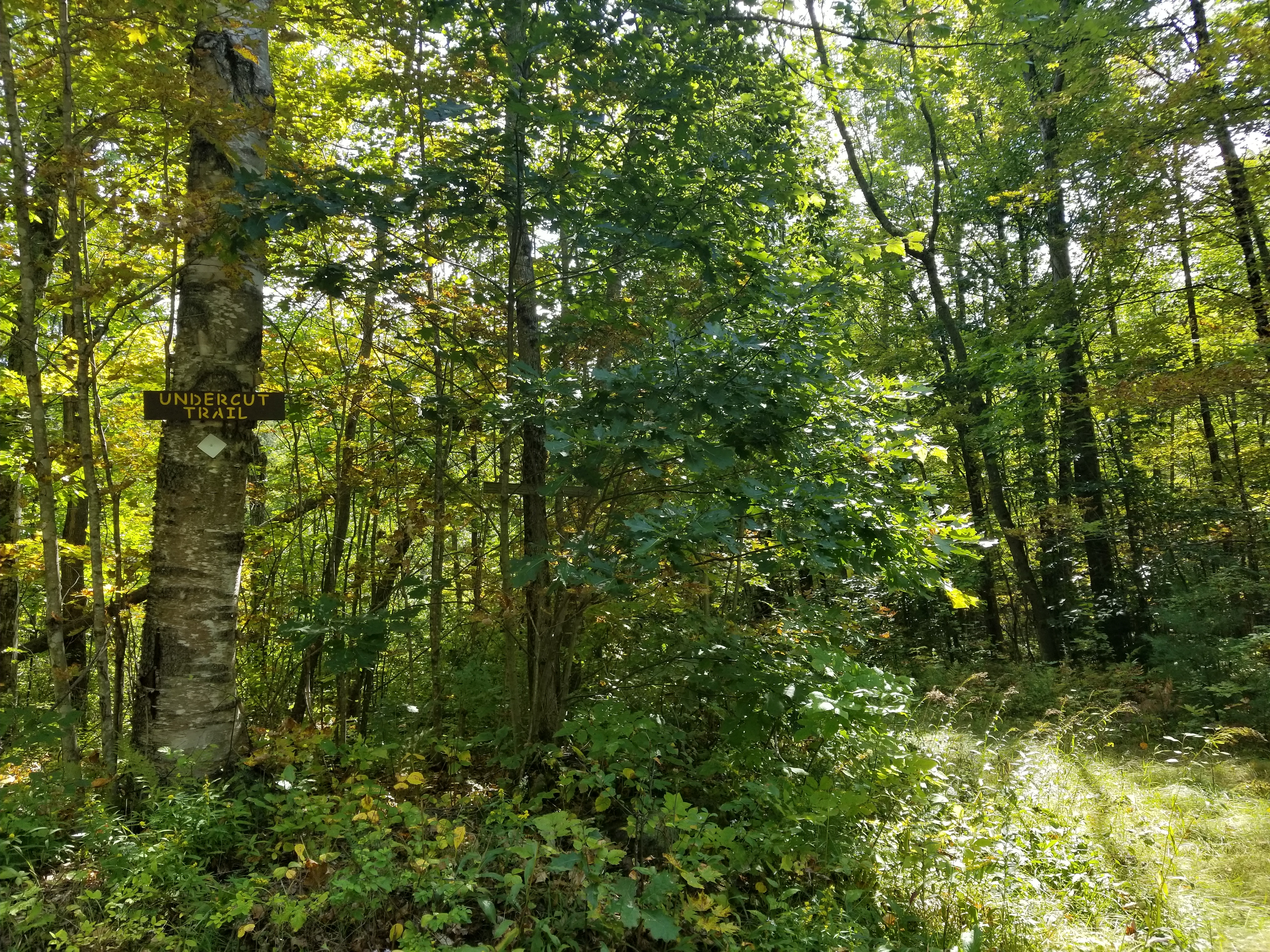 Undercut Trailhead