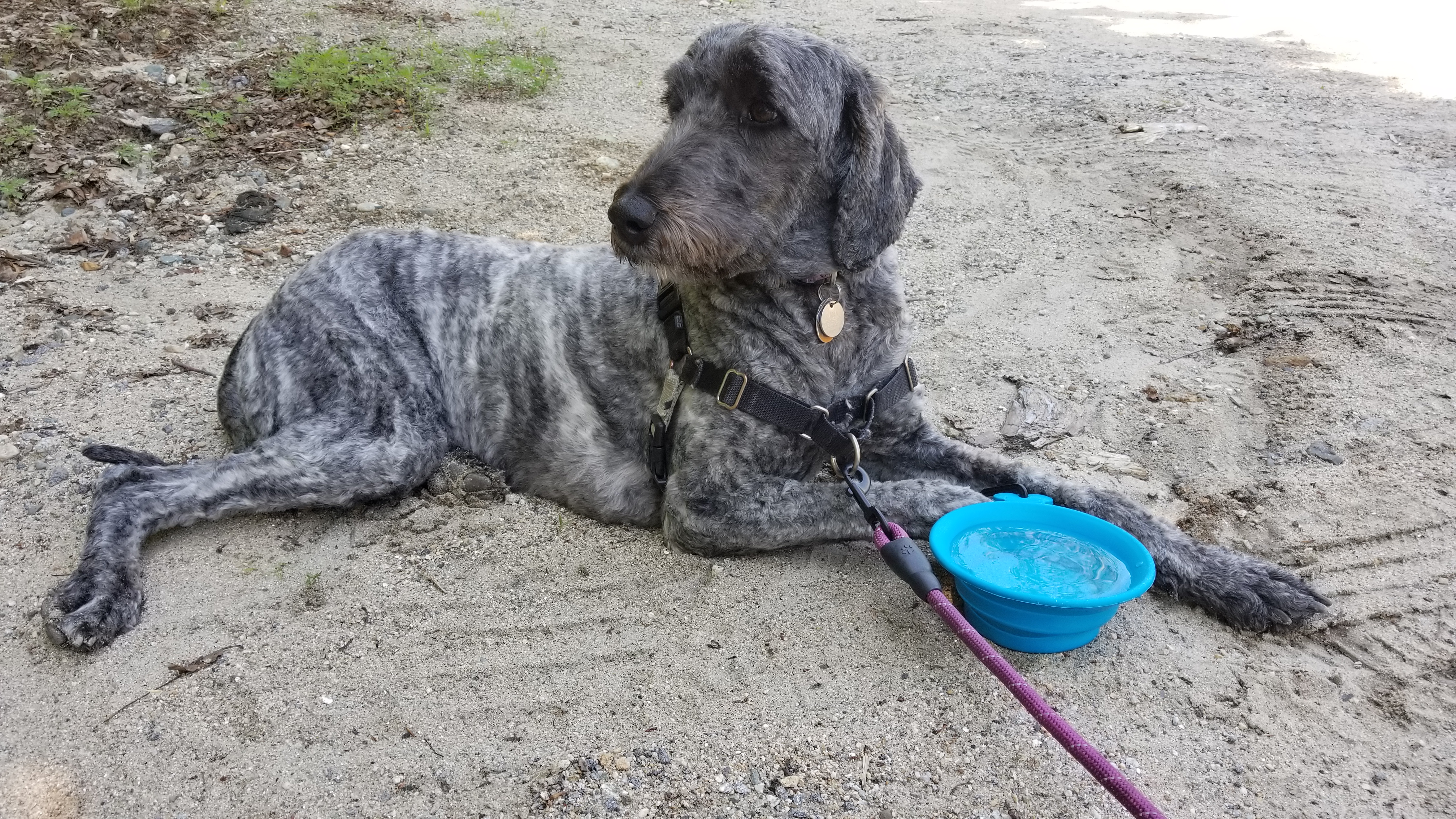 Lana after the hike
