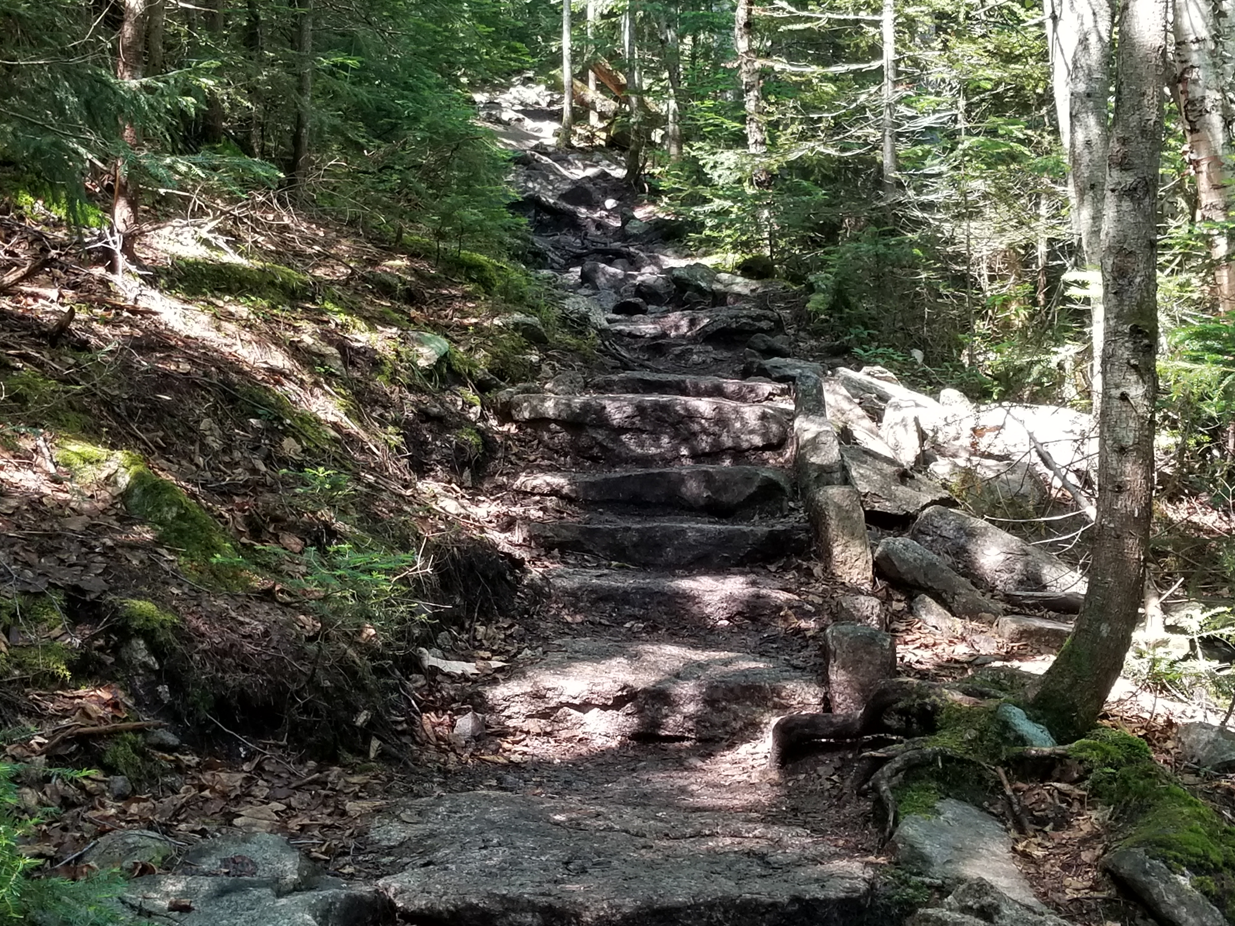 Rock steps
