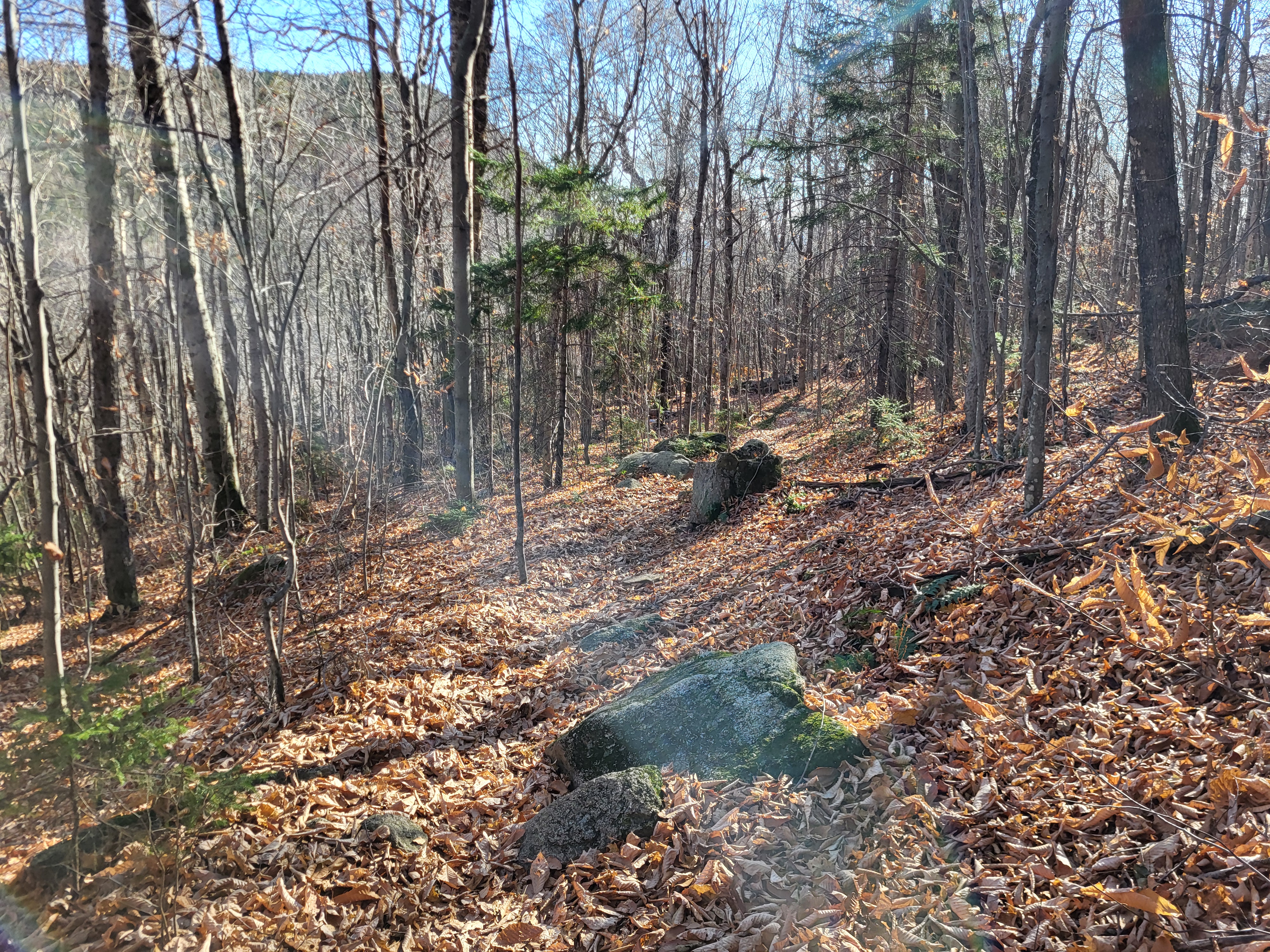 Descending the Dicey's Mill Trail