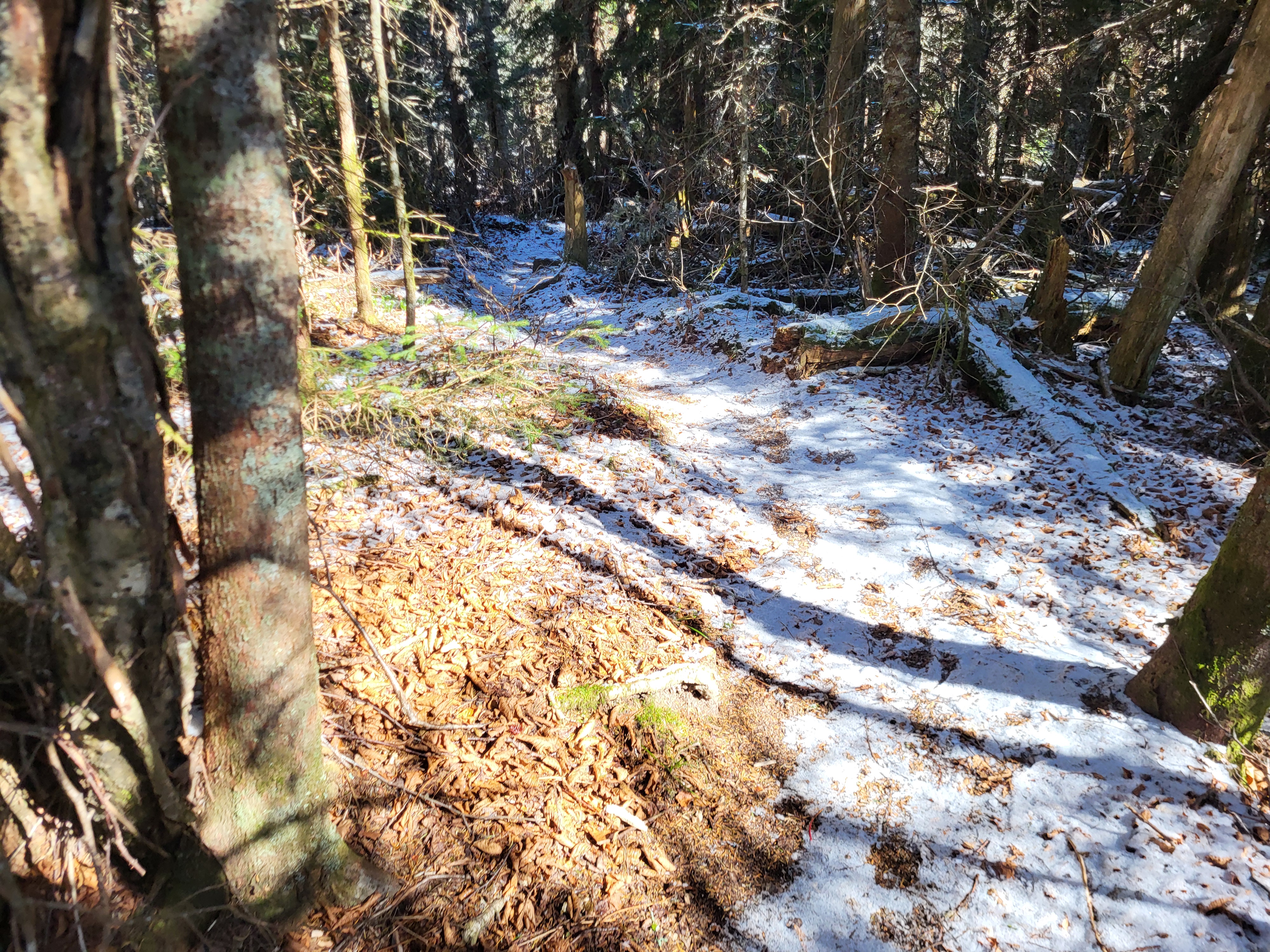 Snow on the trail on the ridge 