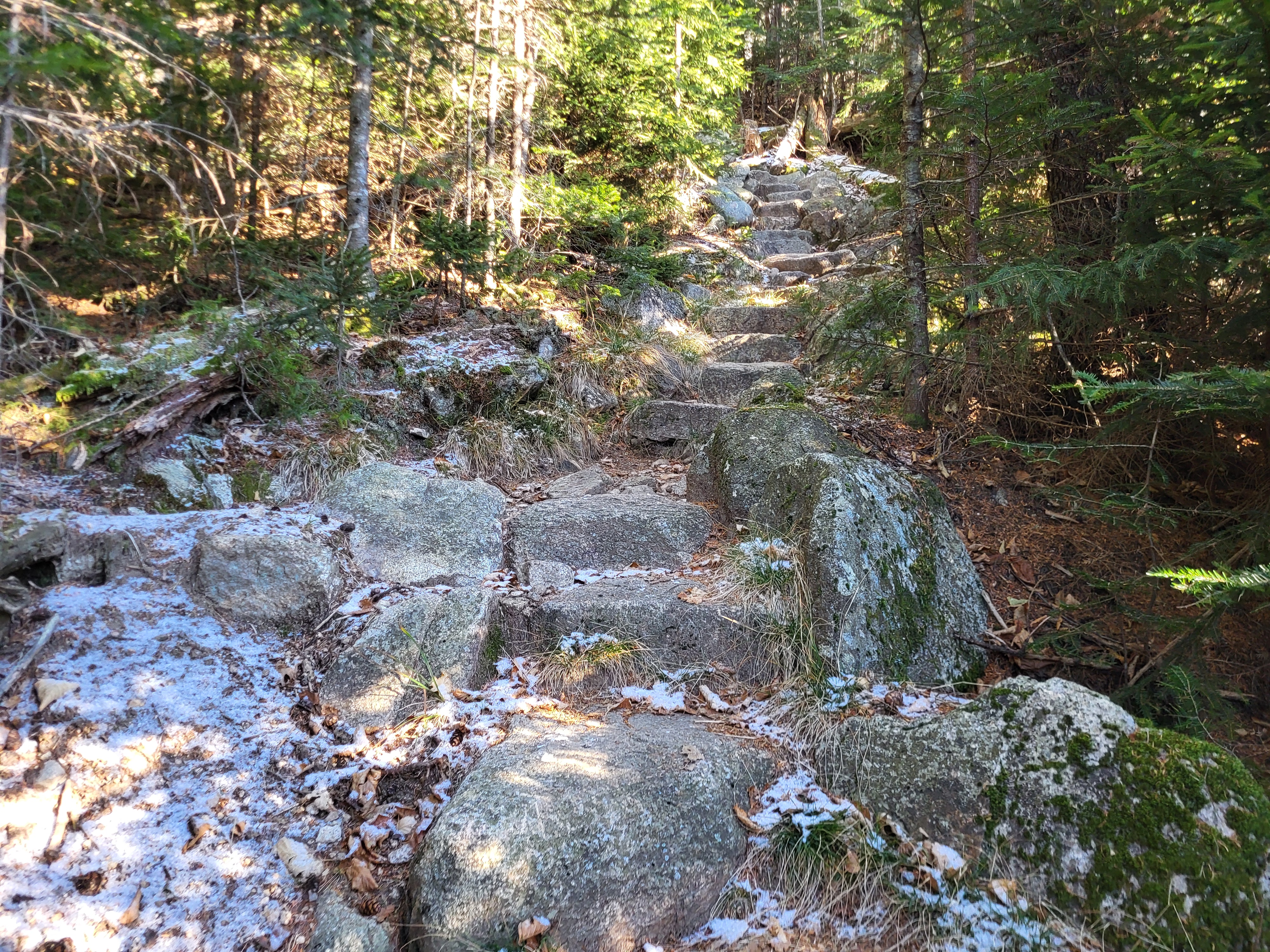 Rock steps on the trail