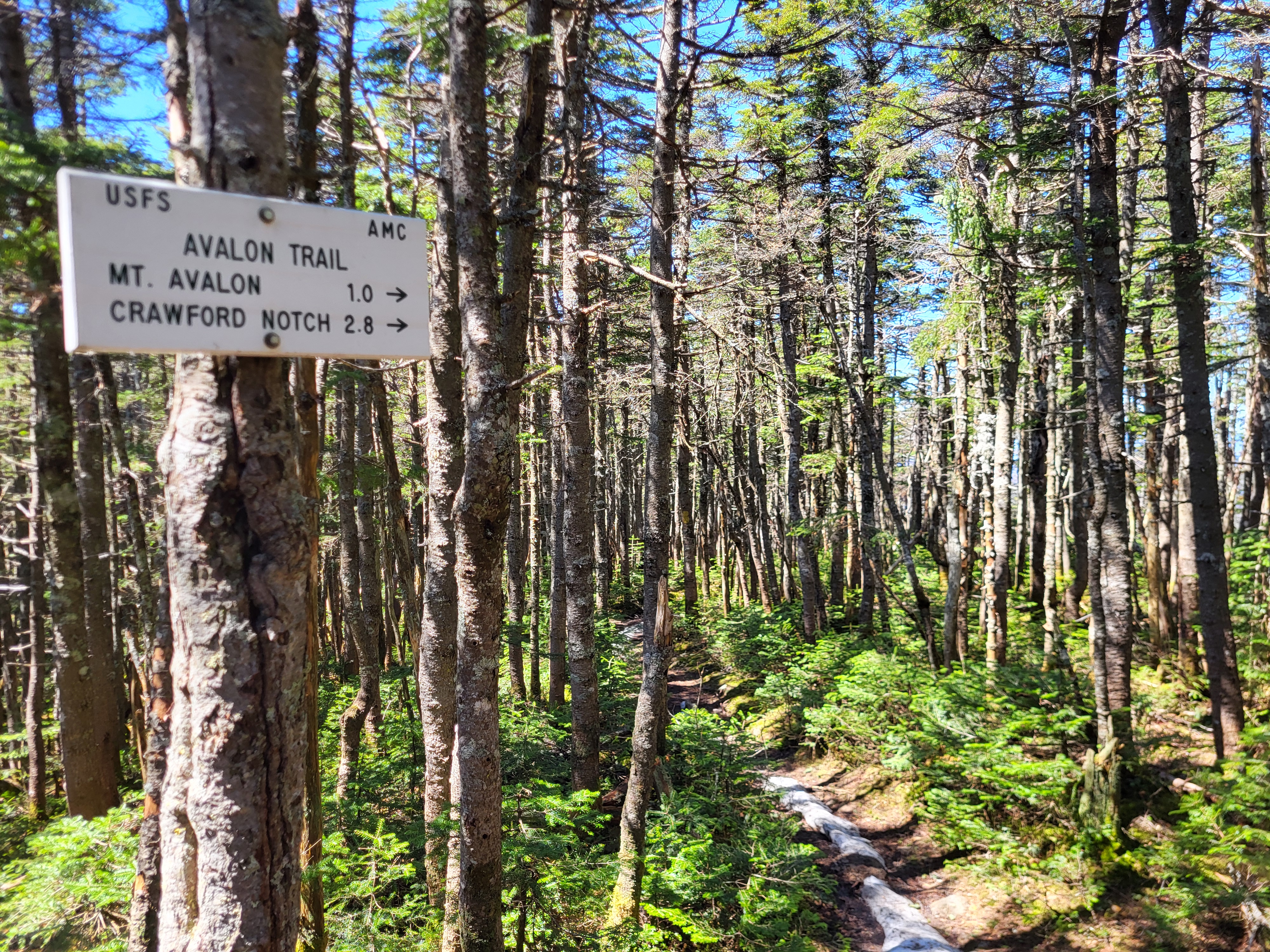 Mt Avalon trail sign