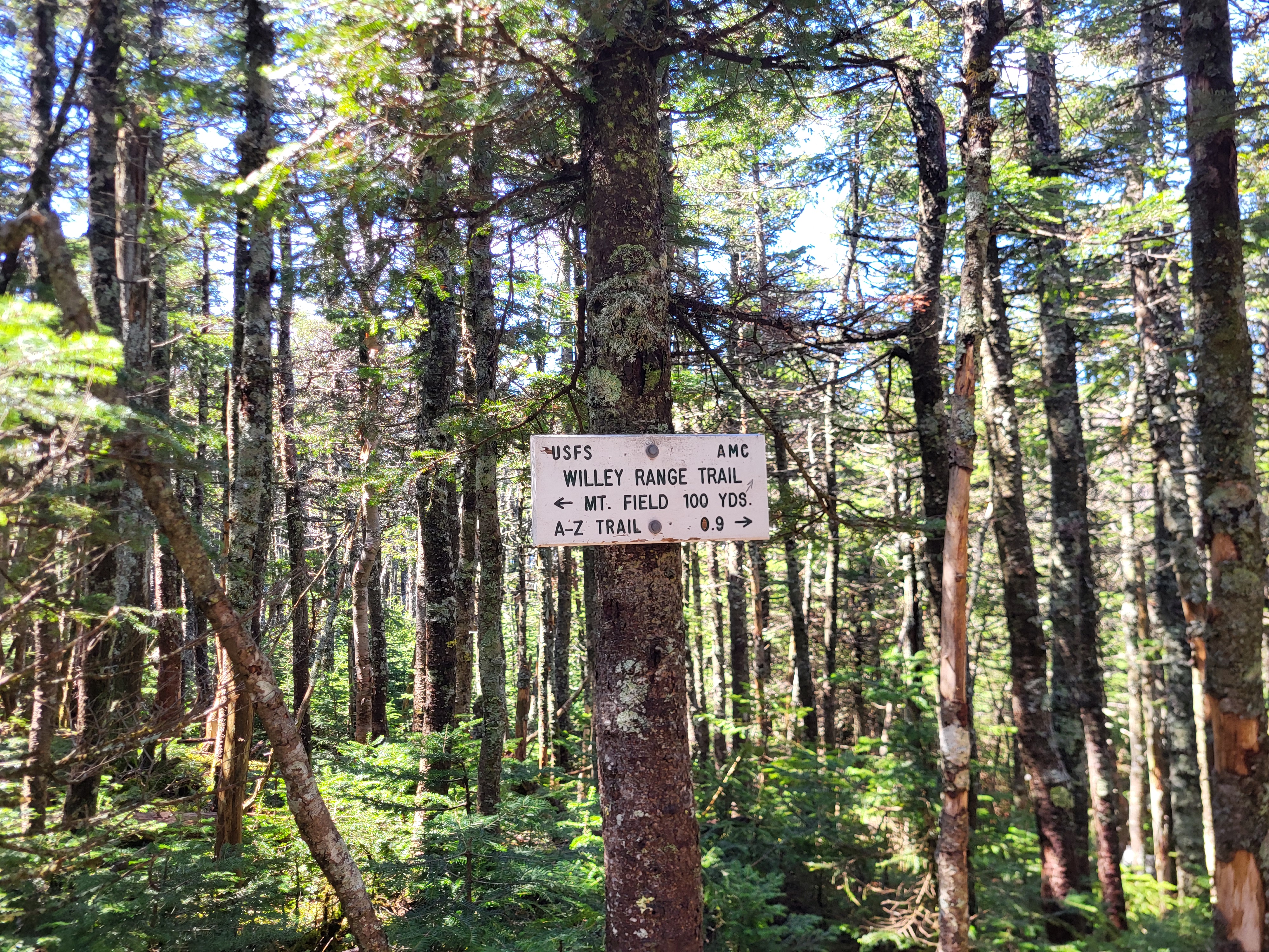 Mt. Tom summit sign