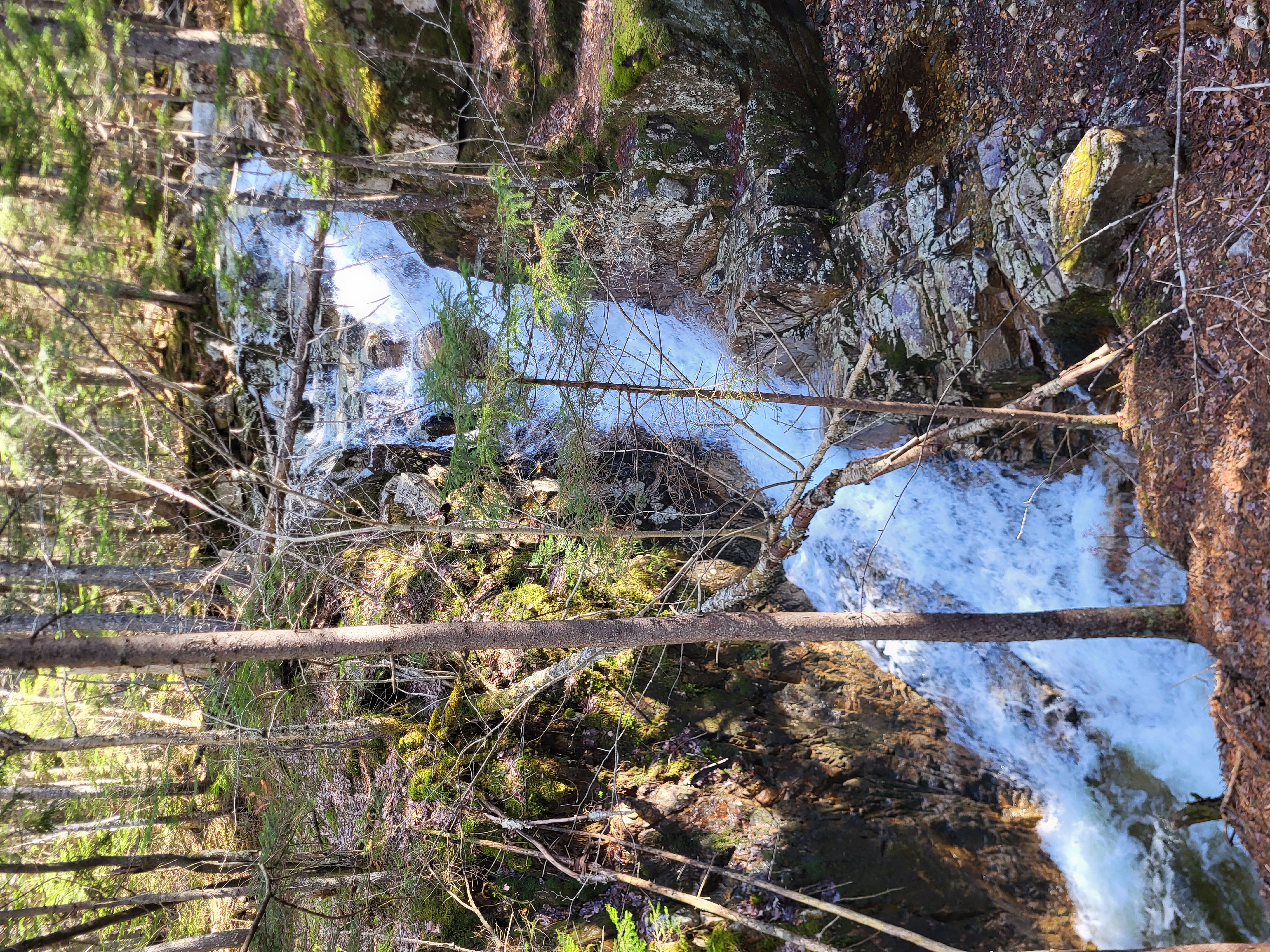 Pearl Cascade 2