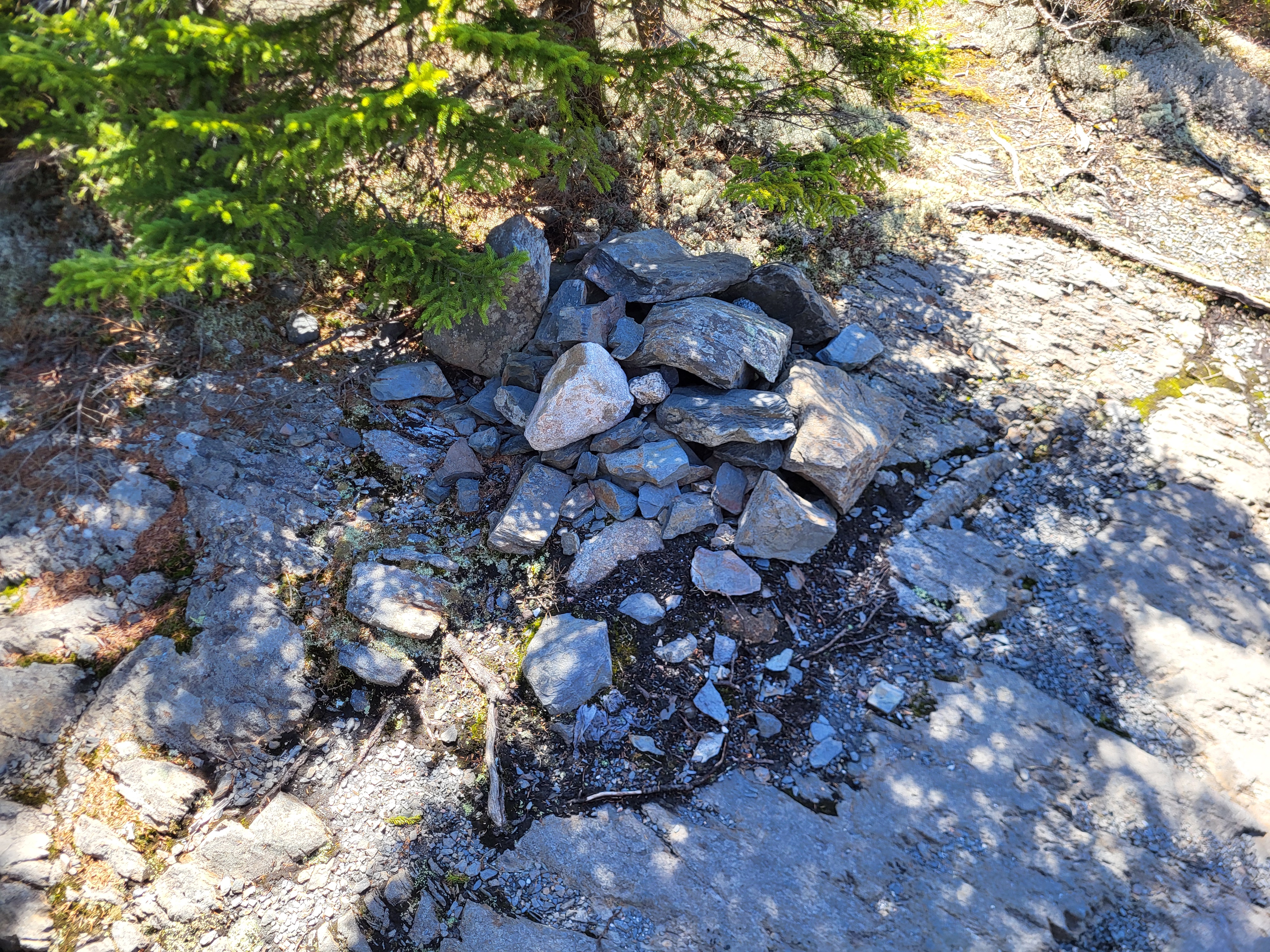 Mt. Willey summit cairn